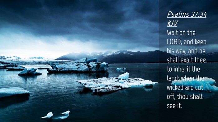 Picture 04 - Psalms 37:34 KJV Desktop Wallpaper - Wait on the LORD, and keep his way, and he shall - Desktop Bible Verse Wallpaper