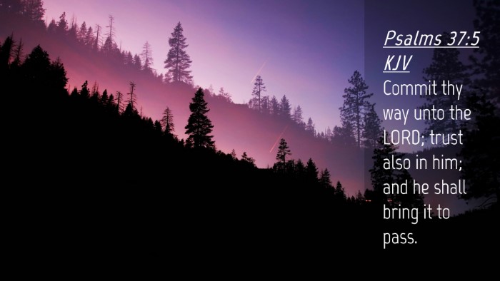 Picture 04 - Psalms 37:5 KJV Desktop Wallpaper - Commit thy way unto the LORD; trust also in him; - Desktop Bible Verse Wallpaper