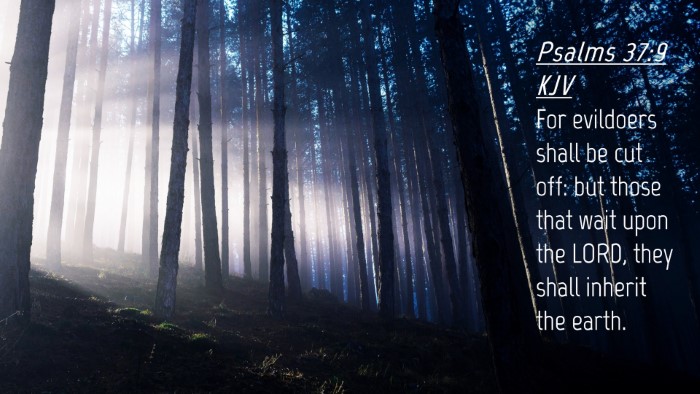 Picture 04 - Psalms 37:9 KJV Desktop Wallpaper - For evildoers shall be cut off: but those that - Desktop Bible Verse Wallpaper