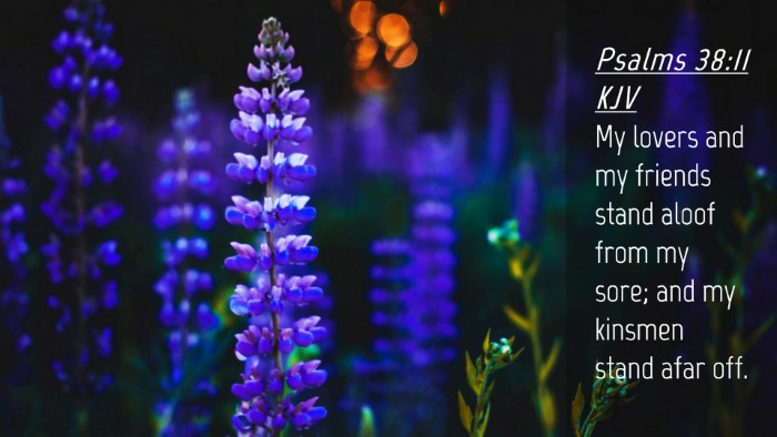 Picture 04 - Psalms 38:11 KJV Desktop Wallpaper - My lovers and my friends stand aloof from my - Desktop Bible Verse Wallpaper