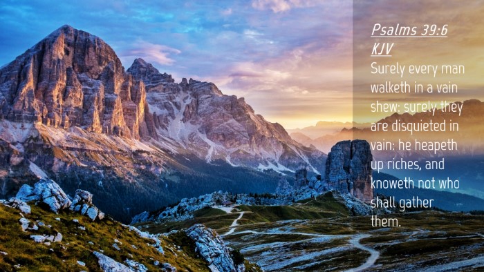 Picture 04 - Psalms 39:6 KJV Desktop Wallpaper - Surely every man walketh in a vain shew: surely - Desktop Bible Verse Wallpaper