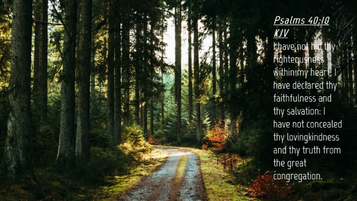 Picture 04 - Psalms 40:10 KJV Desktop Wallpaper - I have not hid thy righteousness within my heart; - Desktop Bible Verse Wallpaper