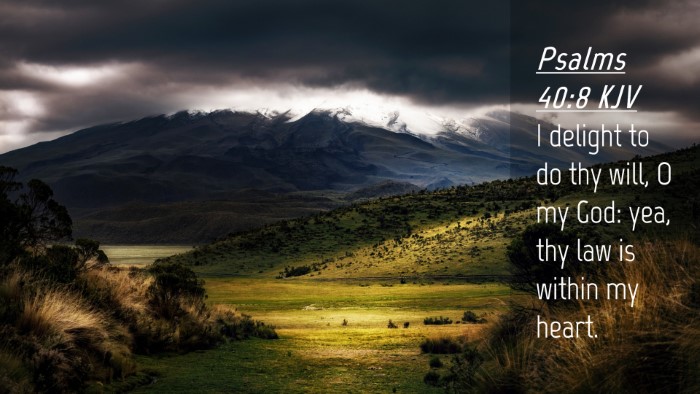 Picture 04 - Psalms 40:8 KJV Desktop Wallpaper - I delight to do thy will, O my God: yea, thy law - Desktop Bible Verse Wallpaper