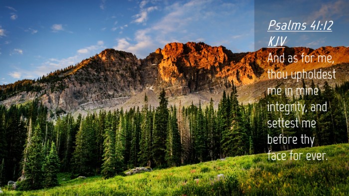 Picture 04 - Psalms 41:12 KJV Desktop Wallpaper - And as for me, thou upholdest me in mine - Desktop Bible Verse Wallpaper