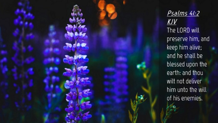 Picture 04 - Psalms 41:2 KJV Desktop Wallpaper - The LORD will preserve him, and keep him alive; - Desktop Bible Verse Wallpaper