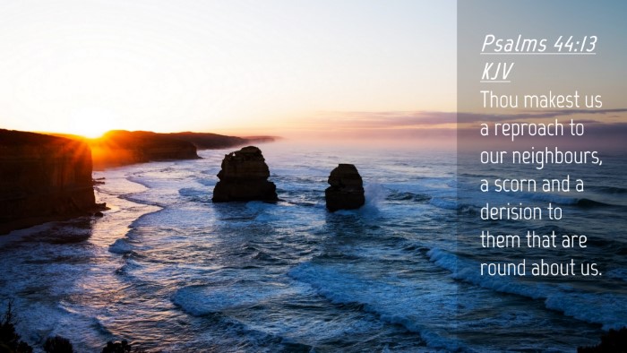 Picture 04 - Psalms 44:13 KJV Desktop Wallpaper - Thou makest us a reproach to our neighbours, a - Desktop Bible Verse Wallpaper