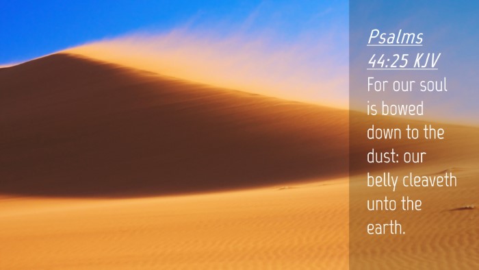 Picture 04 - Psalms 44:25 KJV Desktop Wallpaper - For our soul is bowed down to the dust: our belly - Desktop Bible Verse Wallpaper