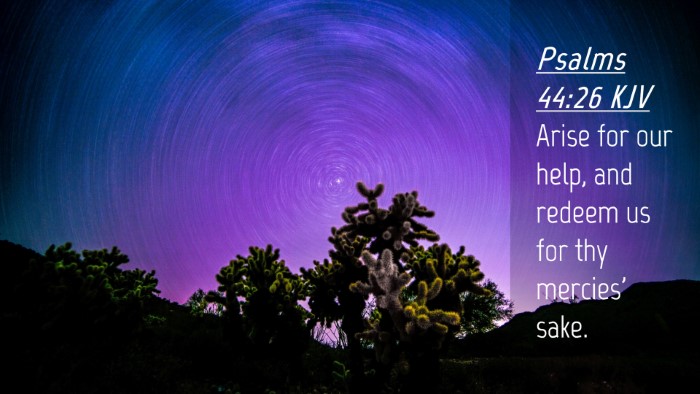 Picture 04 - Psalms 44:26 KJV Desktop Wallpaper - Arise for our help, and redeem us for thy - Desktop Bible Verse Wallpaper