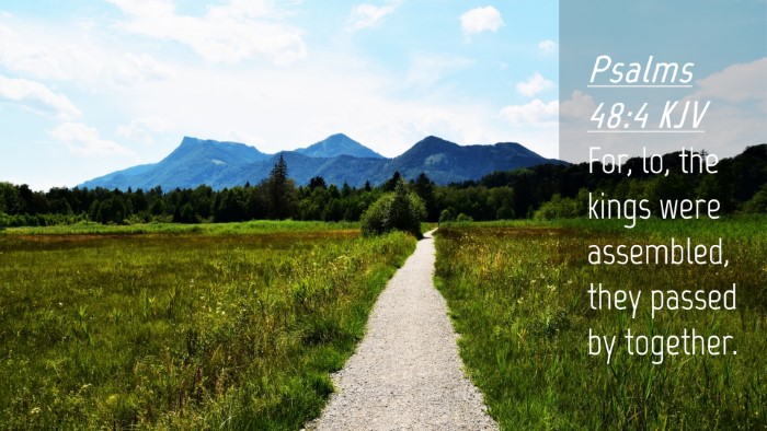 Picture 04 - Psalms 48:4 KJV Desktop Wallpaper - For, lo, the kings were assembled, they passed by - Desktop Bible Verse Wallpaper