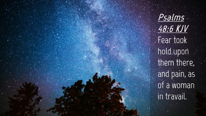 Picture 04 - Psalms 48:6 KJV Desktop Wallpaper - Fear took hold upon them there, and pain, as of a - Desktop Bible Verse Wallpaper