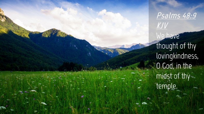 Picture 04 - Psalms 48:9 KJV Desktop Wallpaper - We have thought of thy lovingkindness, O God, in - Desktop Bible Verse Wallpaper