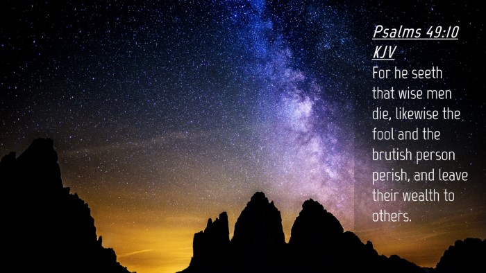 Picture 04 - Psalms 49:10 KJV Desktop Wallpaper - For he seeth that wise men die, likewise the fool - Desktop Bible Verse Wallpaper