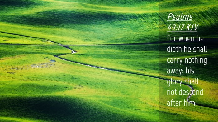 Picture 04 - Psalms 49:17 KJV Desktop Wallpaper - For when he dieth he shall carry nothing away: - Desktop Bible Verse Wallpaper