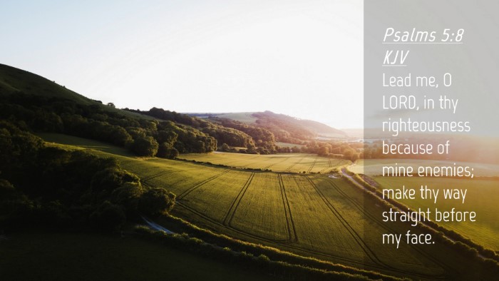 Picture 04 - Psalms 5:8 KJV Desktop Wallpaper - Lead me, O LORD, in thy righteousness because of - Desktop Bible Verse Wallpaper