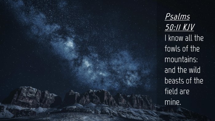 Picture 04 - Psalms 50:11 KJV Desktop Wallpaper - I know all the fowls of the mountains: and the - Desktop Bible Verse Wallpaper