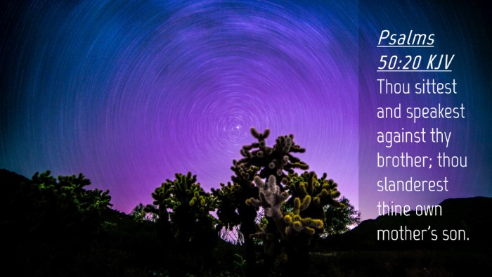 Picture 04 - Psalms 50:20 KJV Desktop Wallpaper - Thou sittest and speakest against thy brother; - Desktop Bible Verse Wallpaper