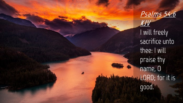 Picture 04 - Psalms 54:6 KJV Desktop Wallpaper - I will freely sacrifice unto thee: I will praise - Desktop Bible Verse Wallpaper