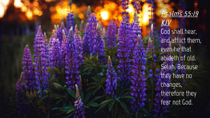 Picture 04 - Psalms 55:19 KJV Desktop Wallpaper - God shall hear, and afflict them, even he that - Desktop Bible Verse Wallpaper