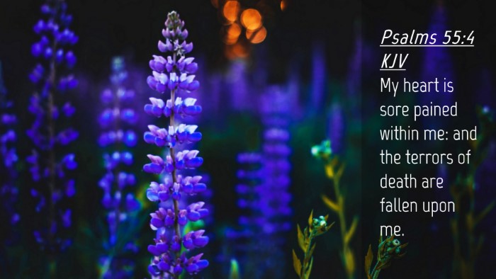 Picture 04 - Psalms 55:4 KJV Desktop Wallpaper - My heart is sore pained within me: and the - Desktop Bible Verse Wallpaper