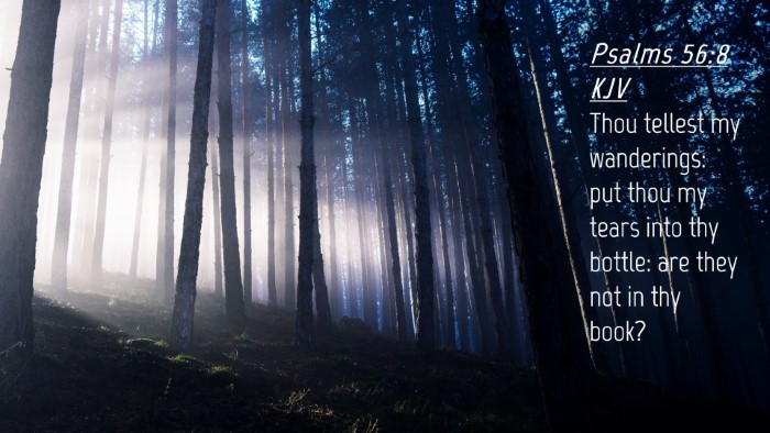Picture 04 - Psalms 56:8 KJV Desktop Wallpaper - Thou tellest my wanderings: put thou my tears - Desktop Bible Verse Wallpaper