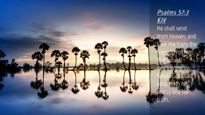 Picture 04 - Psalms 57:3 KJV Desktop Wallpaper - He shall send from heaven, and save me from the - Desktop Bible Verse Wallpaper