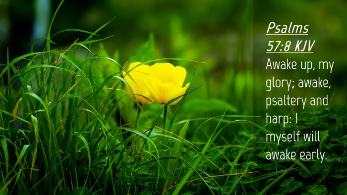 Picture 04 - Psalms 57:8 KJV Desktop Wallpaper - Awake up, my glory; awake, psaltery and harp: I - Desktop Bible Verse Wallpaper