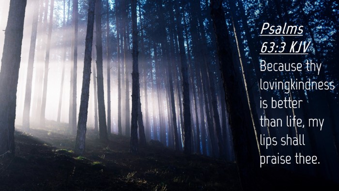 Picture 04 - Psalms 63:3 KJV Desktop Wallpaper - Because thy lovingkindness is better than life, - Desktop Bible Verse Wallpaper