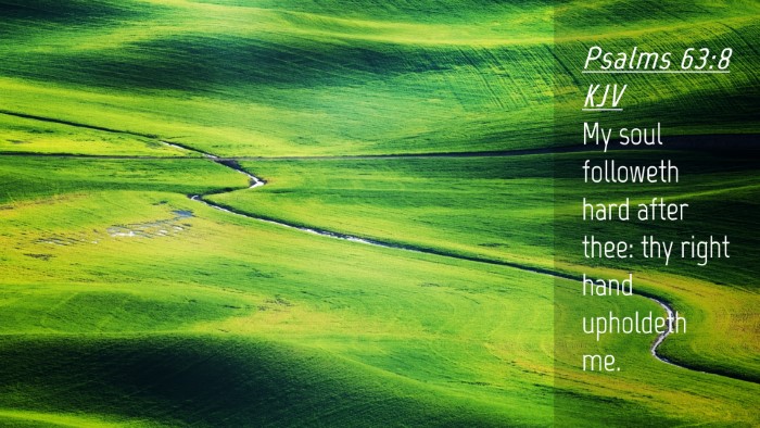 Picture 04 - Psalms 63:8 KJV Desktop Wallpaper - My soul followeth hard after thee: thy right hand - Desktop Bible Verse Wallpaper