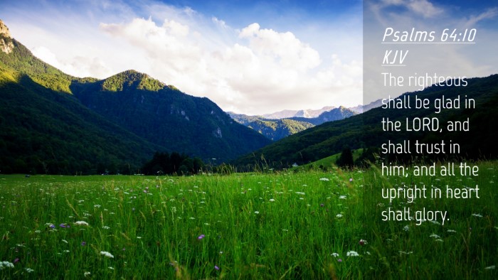Picture 04 - Psalms 64:10 KJV Desktop Wallpaper - The righteous shall be glad in the LORD, and - Desktop Bible Verse Wallpaper