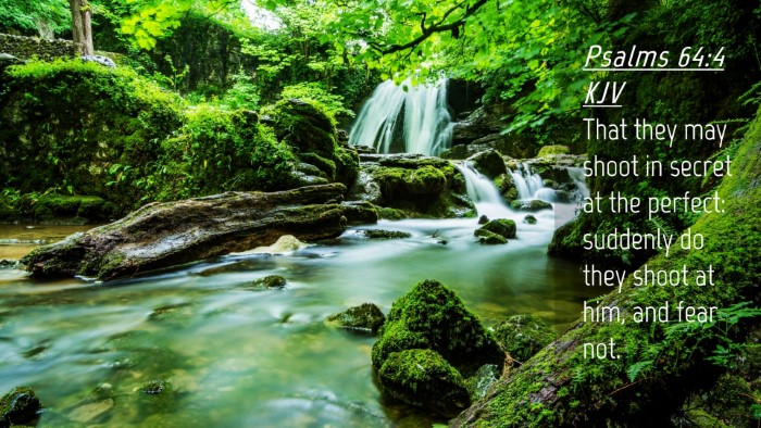 Picture 04 - Psalms 64:4 KJV Desktop Wallpaper - That they may shoot in secret at the perfect: - Desktop Bible Verse Wallpaper
