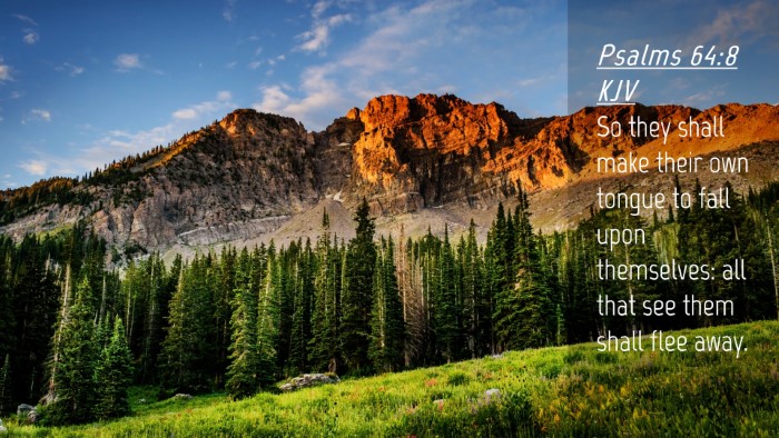 Picture 04 - Psalms 64:8 KJV Desktop Wallpaper - So they shall make their own tongue to fall upon - Desktop Bible Verse Wallpaper