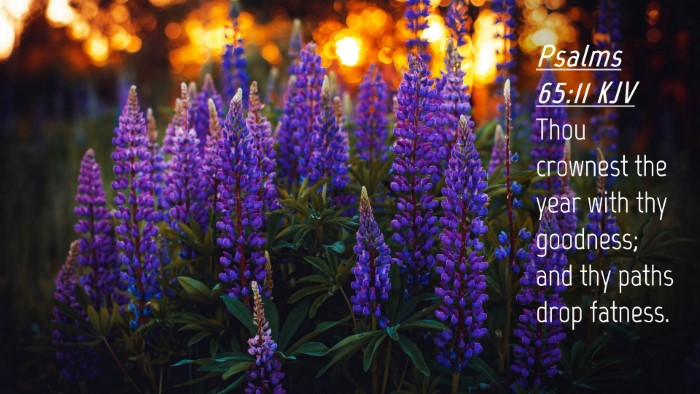Picture 04 - Psalms 65:11 KJV Desktop Wallpaper - Thou crownest the year with thy goodness; and thy - Desktop Bible Verse Wallpaper