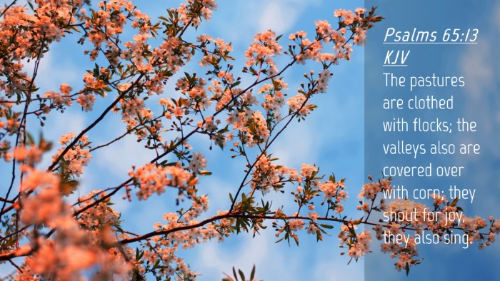 Picture 04 - Psalms 65:13 KJV Desktop Wallpaper - The pastures are clothed with flocks; the valleys - Desktop Bible Verse Wallpaper