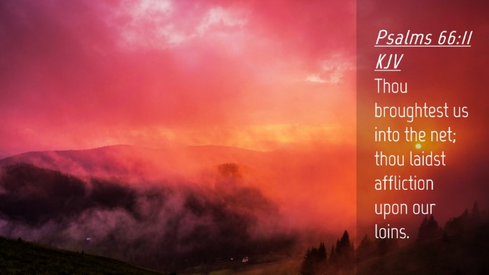 Picture 04 - Psalms 66:11 KJV Desktop Wallpaper - Thou broughtest us into the net; thou laidst - Desktop Bible Verse Wallpaper