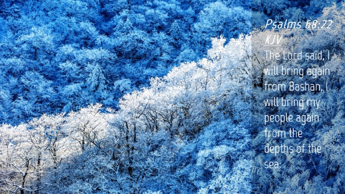 Picture 04 - Psalms 68:22 KJV Desktop Wallpaper - The Lord said, I will bring again from Bashan, I - Desktop Bible Verse Wallpaper