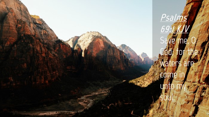 Picture 04 - Psalms 69:1 KJV Desktop Wallpaper - Save me, O God; for the waters are come in unto - Desktop Bible Verse Wallpaper
