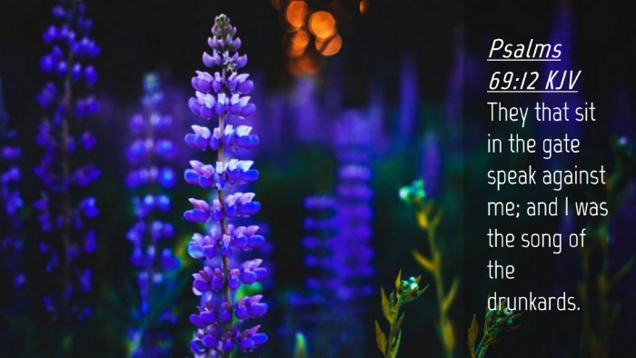 Picture 04 - Psalms 69:12 KJV Desktop Wallpaper - They that sit in the gate speak against me; and I - Desktop Bible Verse Wallpaper
