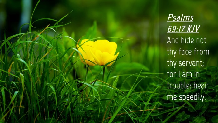 Picture 04 - Psalms 69:17 KJV Desktop Wallpaper - And hide not thy face from thy servant; for I am - Desktop Bible Verse Wallpaper