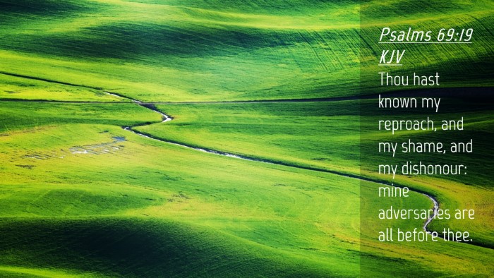 Picture 04 - Psalms 69:19 KJV Desktop Wallpaper - Thou hast known my reproach, and my shame, and my - Desktop Bible Verse Wallpaper