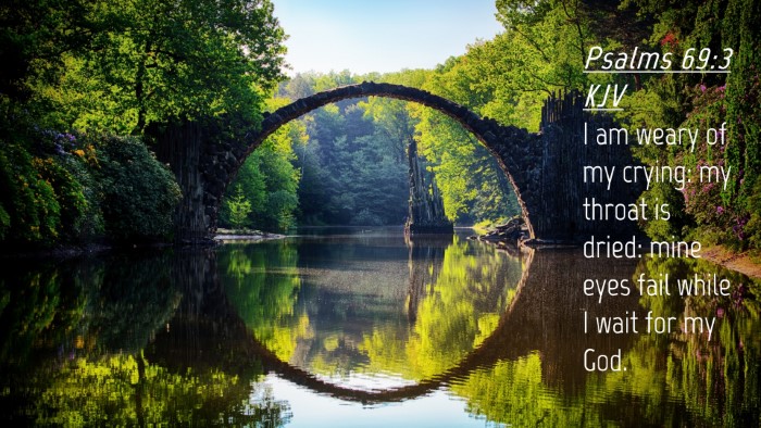 Picture 04 - Psalms 69:3 KJV Desktop Wallpaper - I am weary of my crying: my throat is dried: mine - Desktop Bible Verse Wallpaper