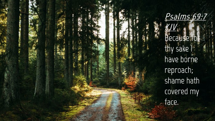 Picture 04 - Psalms 69:7 KJV Desktop Wallpaper - Because for thy sake I have borne reproach; shame - Desktop Bible Verse Wallpaper