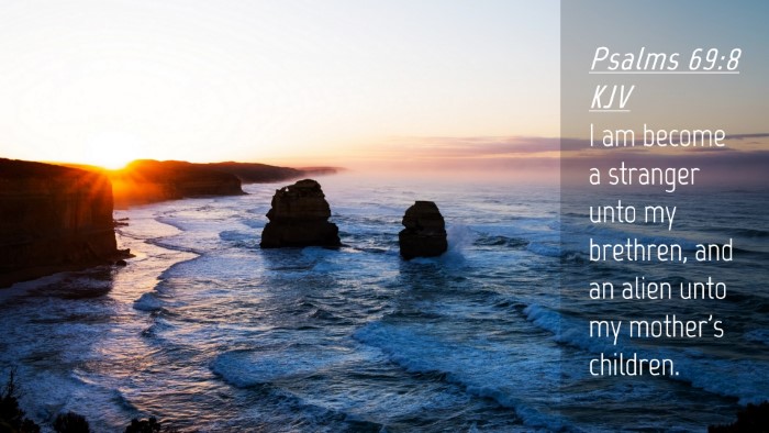 Picture 04 - Psalms 69:8 KJV Desktop Wallpaper - I am become a stranger unto my brethren, and an - Desktop Bible Verse Wallpaper