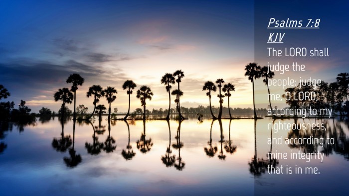 Picture 04 - Psalms 7:8 KJV Desktop Wallpaper - The LORD shall judge the people: judge me, O - Desktop Bible Verse Wallpaper
