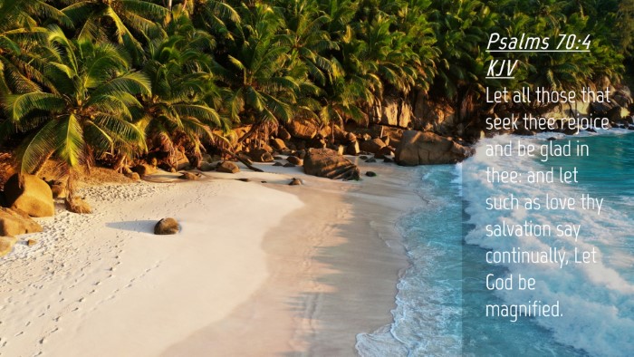 Picture 04 - Psalms 70:4 KJV Desktop Wallpaper - Let all those that seek thee rejoice and be glad - Desktop Bible Verse Wallpaper