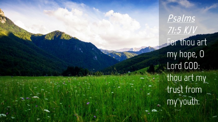Picture 04 - Psalms 71:5 KJV Desktop Wallpaper - For thou art my hope, O Lord GOD: thou art my - Desktop Bible Verse Wallpaper