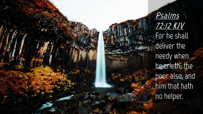 Picture 04 - Psalms 72:12 KJV Desktop Wallpaper - For he shall deliver the needy when he crieth; - Desktop Bible Verse Wallpaper