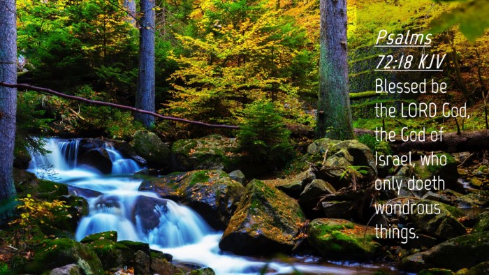 Picture 04 - Psalms 72:18 KJV Desktop Wallpaper - Blessed be the LORD God, the God of Israel, who - Desktop Bible Verse Wallpaper