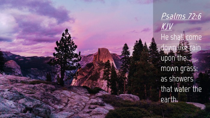 Picture 04 - Psalms 72:6 KJV Desktop Wallpaper - He shall come down like rain upon the mown grass: - Desktop Bible Verse Wallpaper