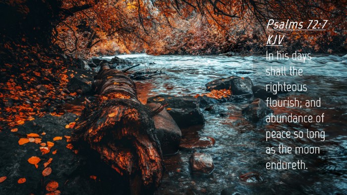 Picture 04 - Psalms 72:7 KJV Desktop Wallpaper - In his days shall the righteous flourish; and - Desktop Bible Verse Wallpaper