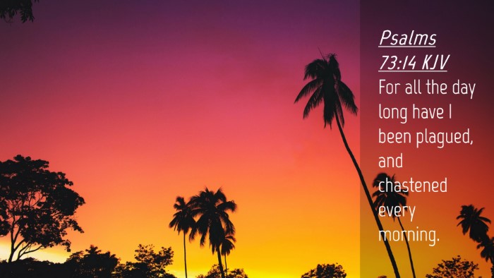 Picture 04 - Psalms 73:14 KJV Desktop Wallpaper - For all the day long have I been plagued, and - Desktop Bible Verse Wallpaper